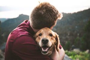 HASTA:   Help and Support for Traumatized Animals