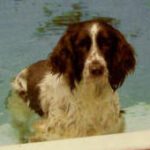Alane Carter's "Rooper"