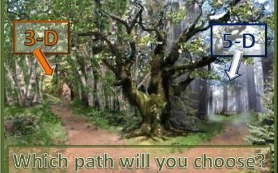 Which Path Will You Choose, 3-D or 5-D?