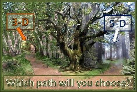 Which Path Will You Choose, 3-D or 5-D?