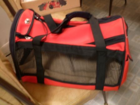 Starlight’s Escapade: Escape from a Cat Carrier.