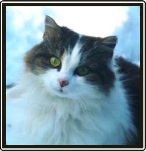 Hattie Portrait_80