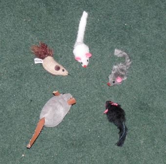 Dimensional Shifting Toy Mouse