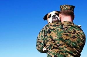 Animal Communication and energy healing can help animals experiencing ongoing symptoms of trauma and stress.