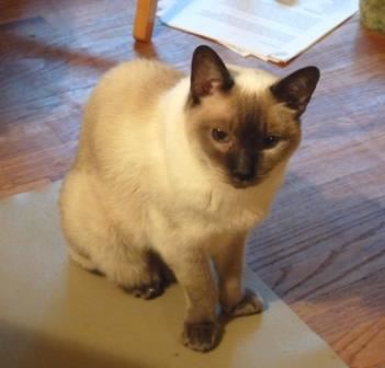 Violet, a beautiful soul.