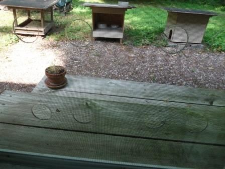 Screen door with plastic barrier enlarged